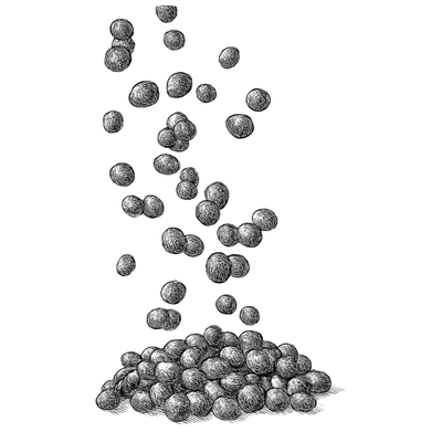 Wild Scottish Cranberries